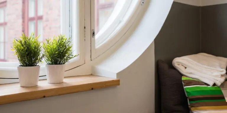 crazytown-hameenlinna-nurkka