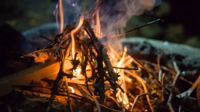 Sinikettu_20190928_201611_Joona_Halinen