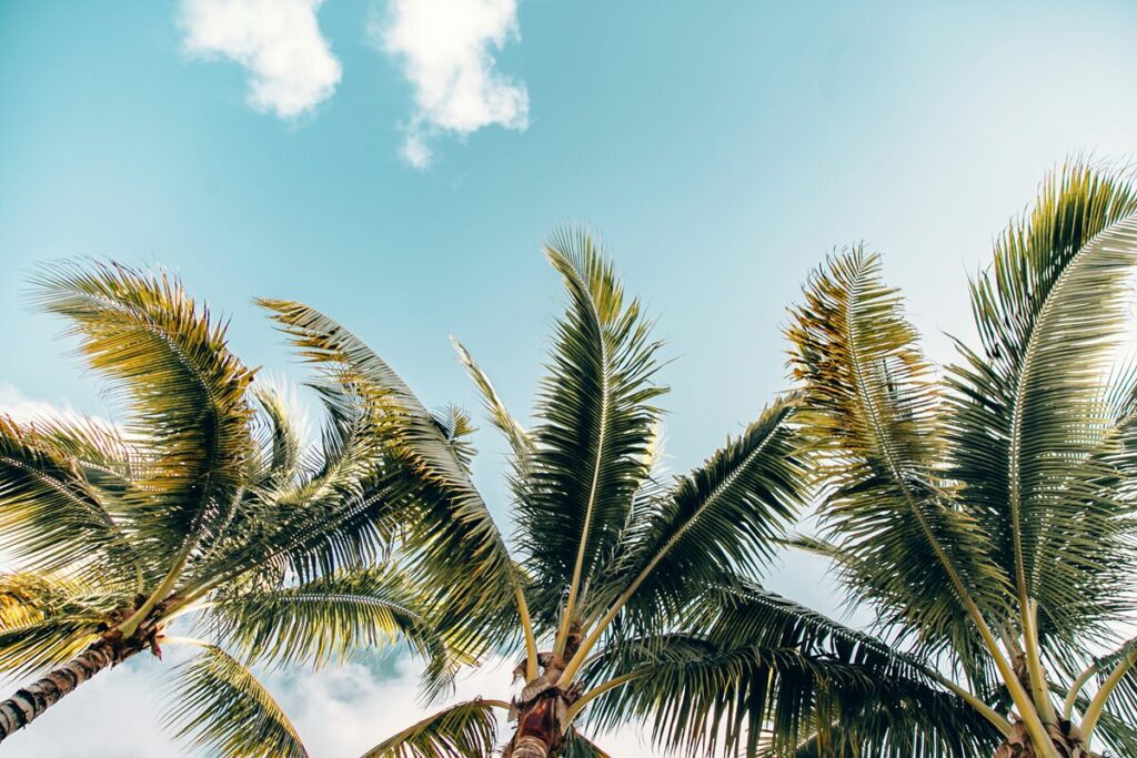 miksi social first ajattelu on B2B markkinoinnin tulevaisuus