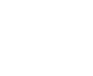 aalto_logo_footer_v2